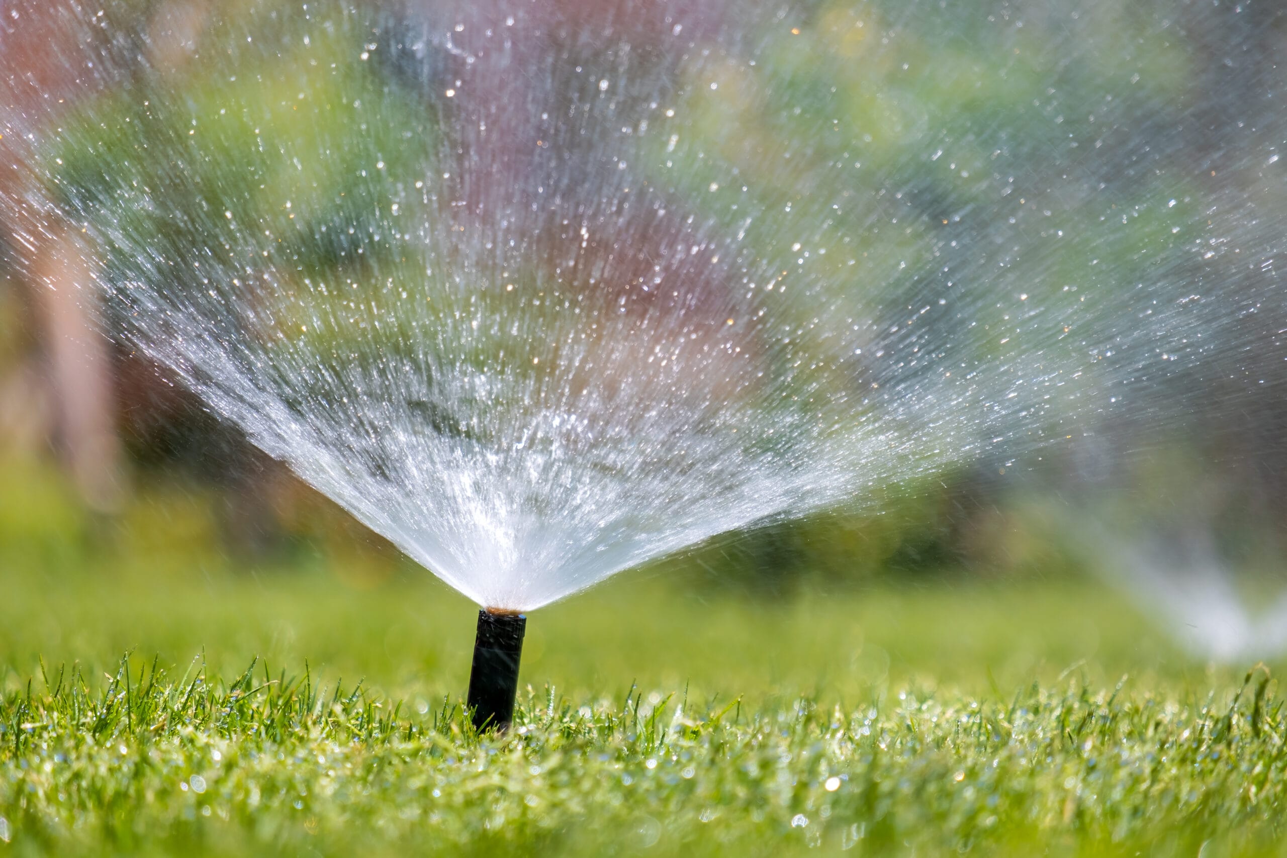 Plastic sprinkler irrigating grass lawn with water in summer gar Plastic sprinkler irrigating grass lawn with water in summer garden. Watering green vegetation duging dry season for maintaining it fresh.